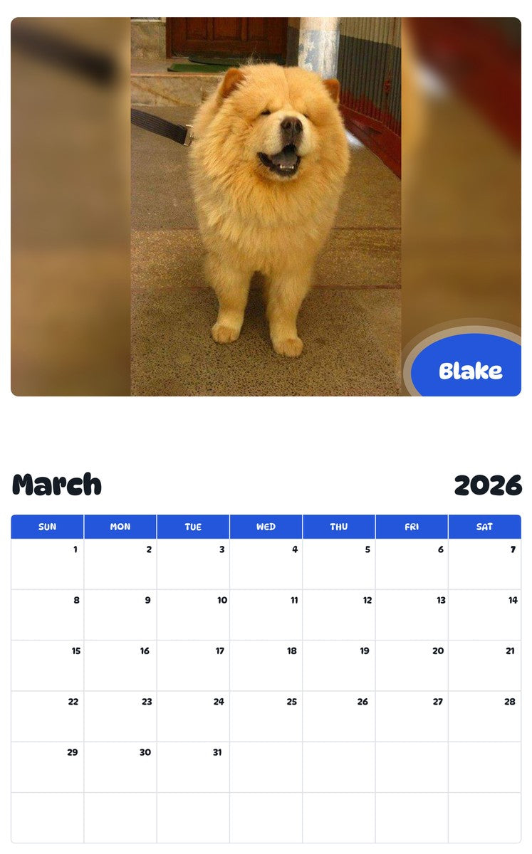 November 2025 - October 2026 Blake - Pawidols Pet Calendar