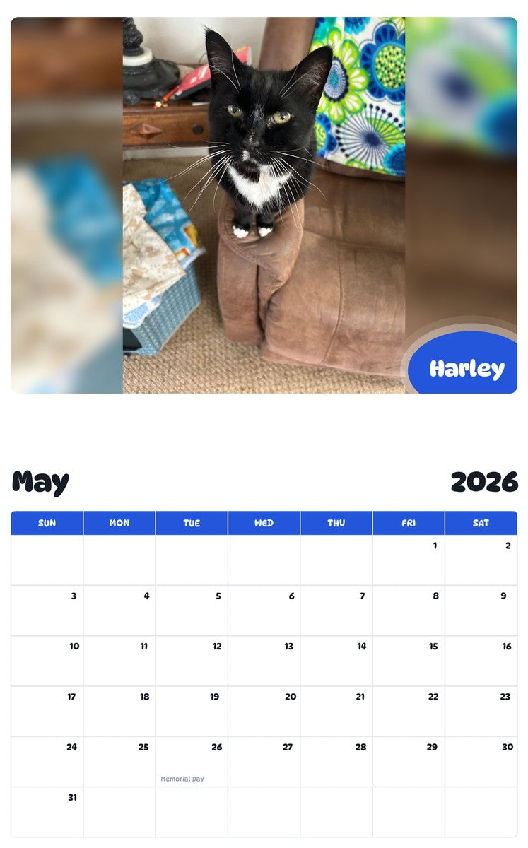 2026 - 2027 Harley - Pawidols Pet Calendar