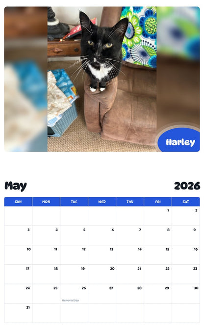 2026 - 2027 Harley - Pawidols Pet Calendar