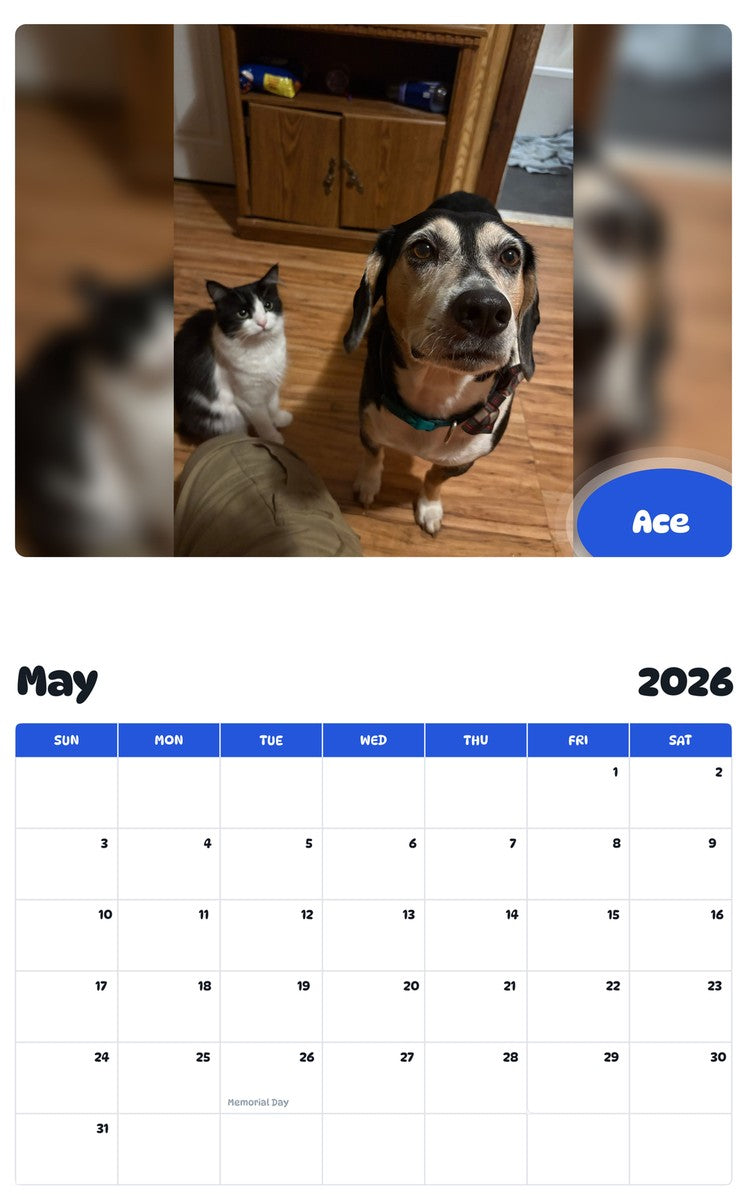 2026 - 2027 Ace - Pawidols Pet Calendar