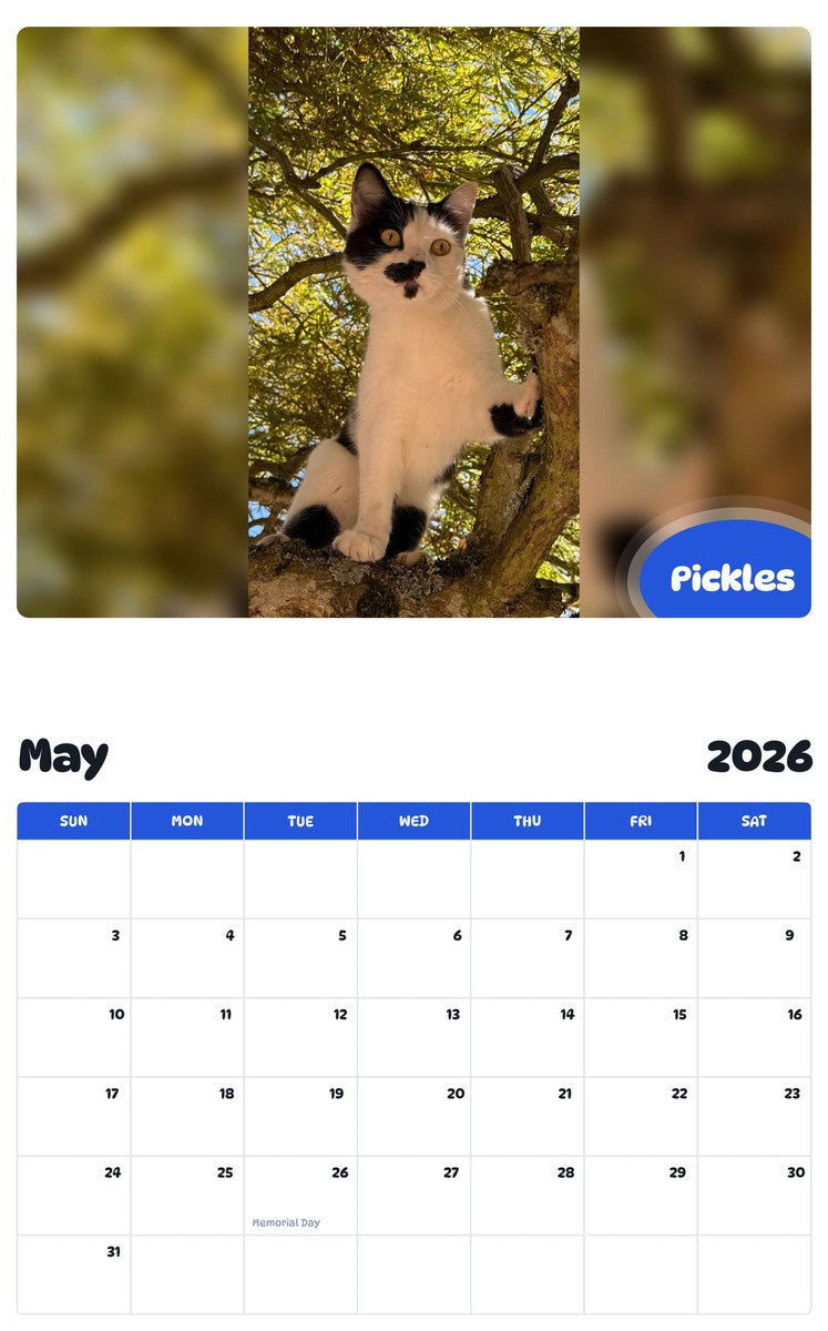 2026 - 2027 Pickles - Pawidols Pet Calendar