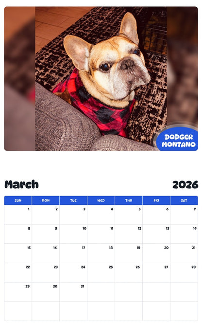 November 2025 - October 2026 DODGER MONTANO - Pawidols Pet Calendar