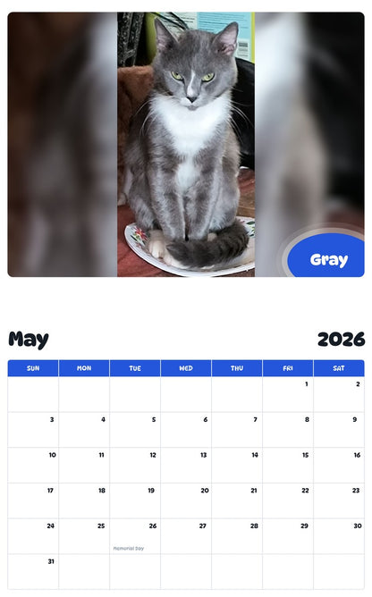 2026 - 2027 Gray - Pawidols Pet Calendar