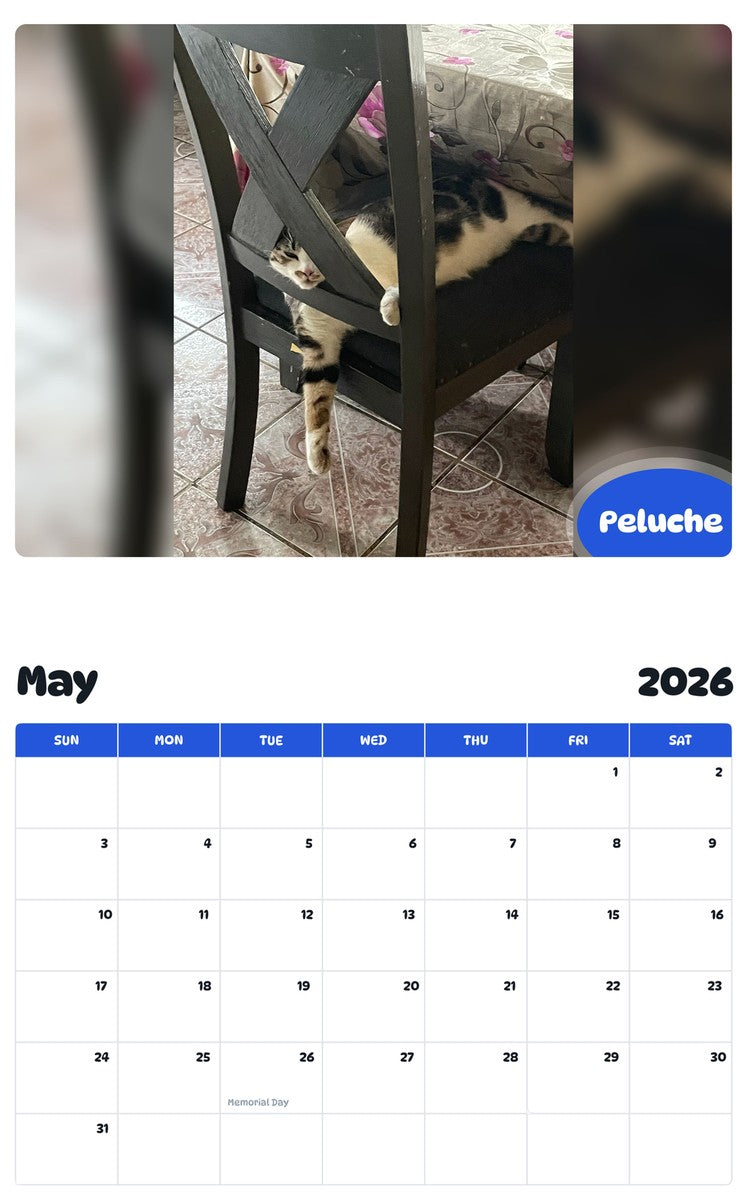2026 - 2027 Peluche - Pawidols Pet Calendar