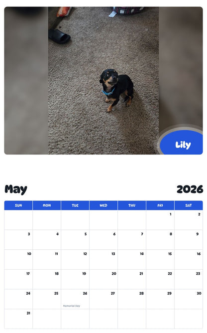 2026 - 2027 Lily - Pawidols Pet Calendar