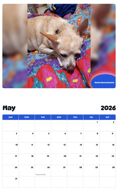 2026 - 2027 Hunny dewe princess - Pawidols Pet Calendar