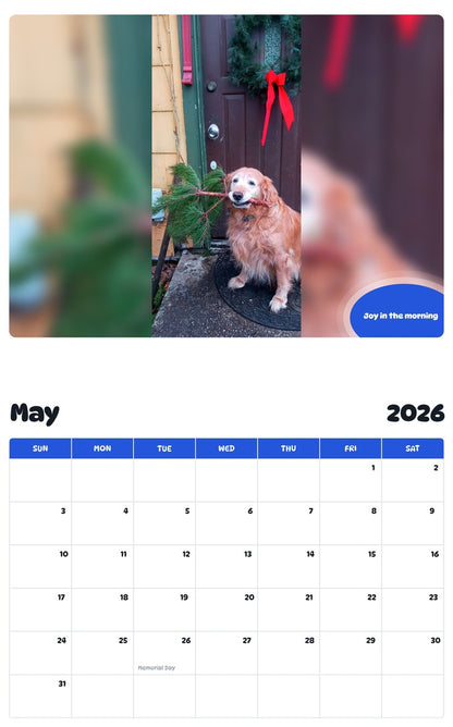 2026 - 2027 Joy in the morning - Pawidols Pet Calendar