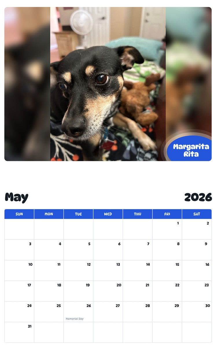 2026 - 2027 Margarita Rita - Pawidols Pet Calendar