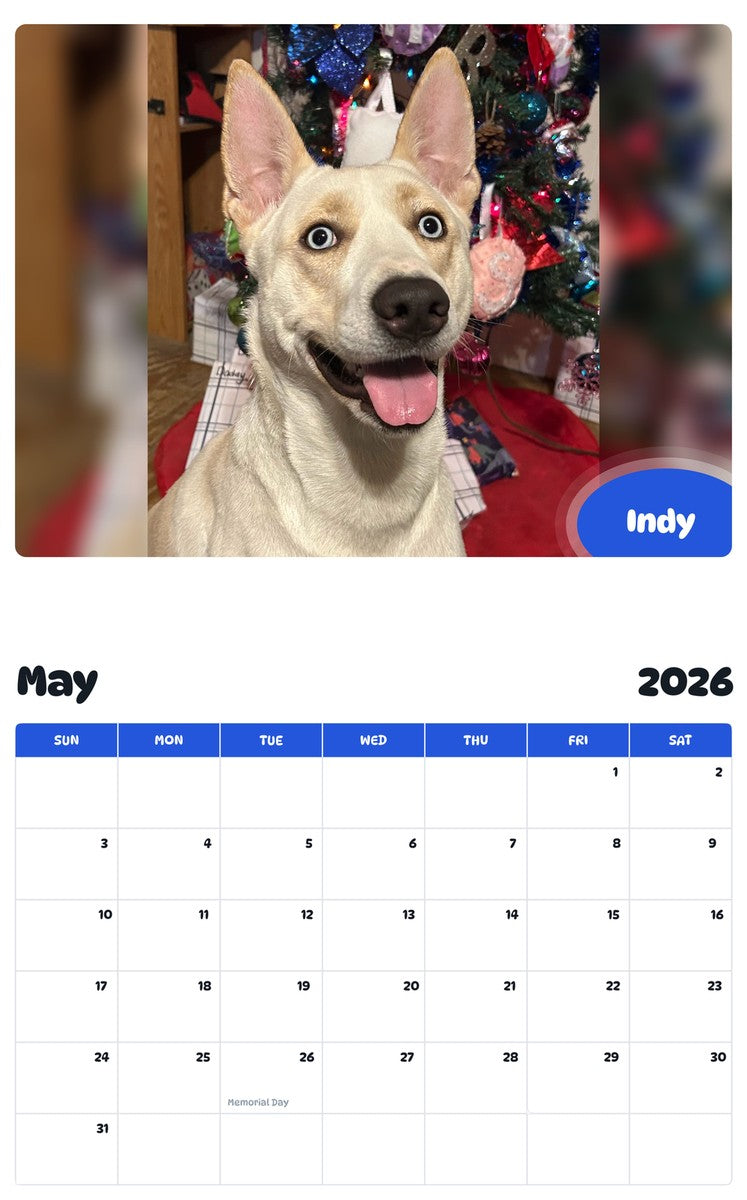 2026 - 2027 Indy - Pawidols Pet Calendar