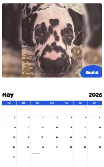 2026 - 2027 Quinn - Pawidols Pet Calendar