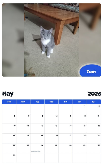 2026 - 2027 Tom - Pawidols Pet Calendar