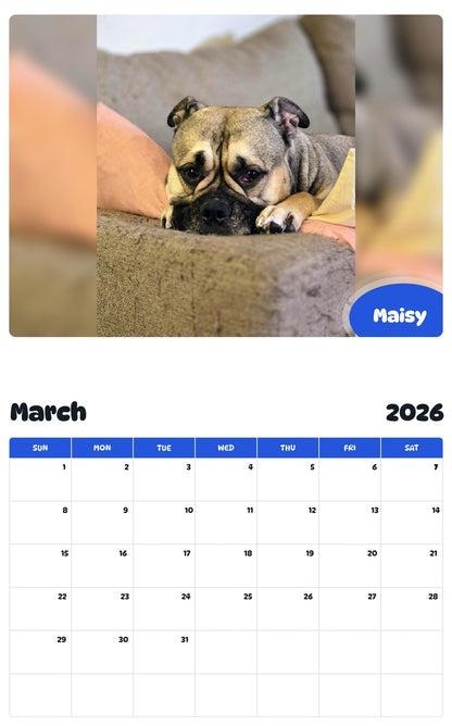 November 2025 - October 2026 Maisy - Pawidols Pet Calendar
