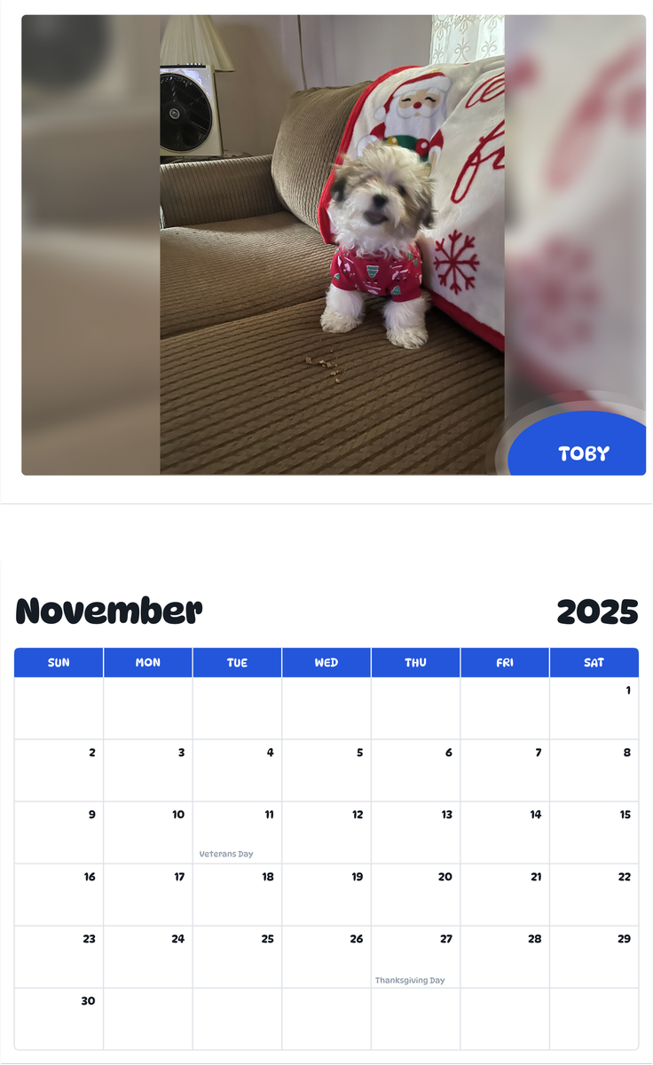 July 2025 - June 2026 Toby - Pawidols Pet Calendar