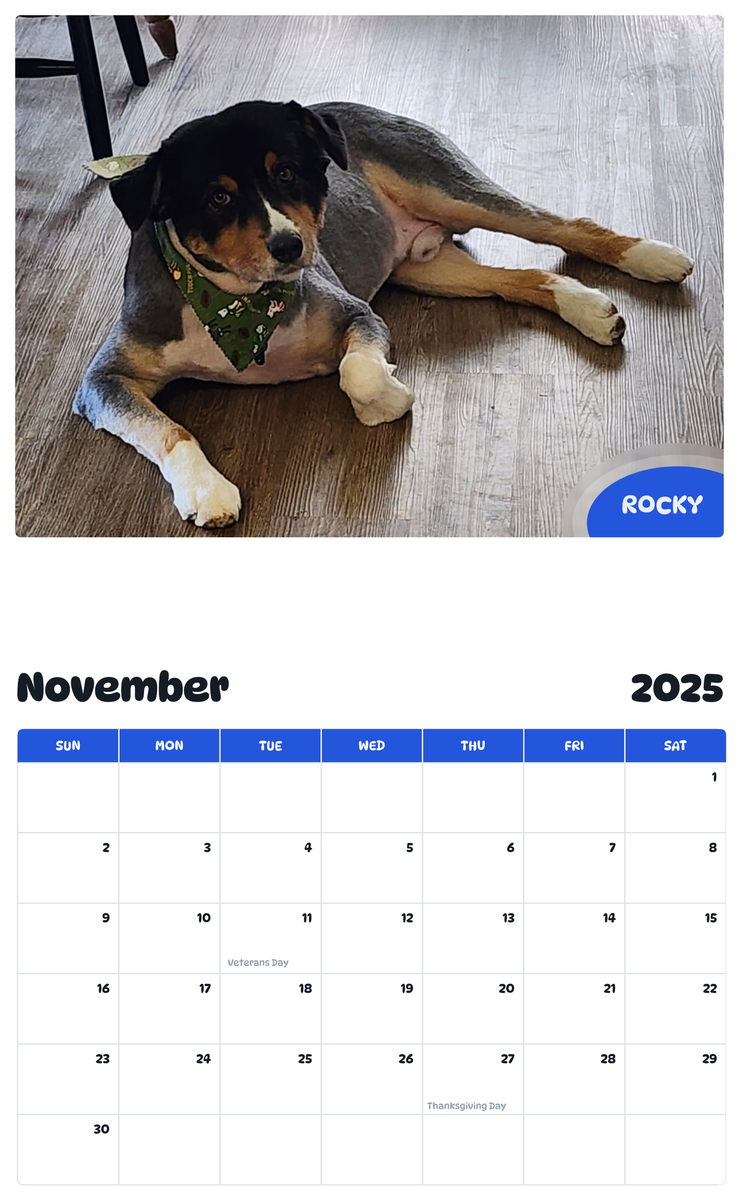 July 2025 - June 2026 Rocky - Pawidols Pet Calendar