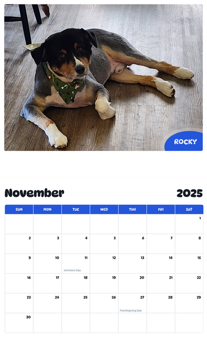 July 2025 - June 2026 Rocky - Pawidols Pet Calendar