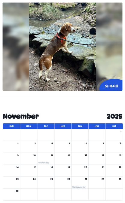 July 2025 - June 2026 Shiloh - Pawidols Pet Calendar
