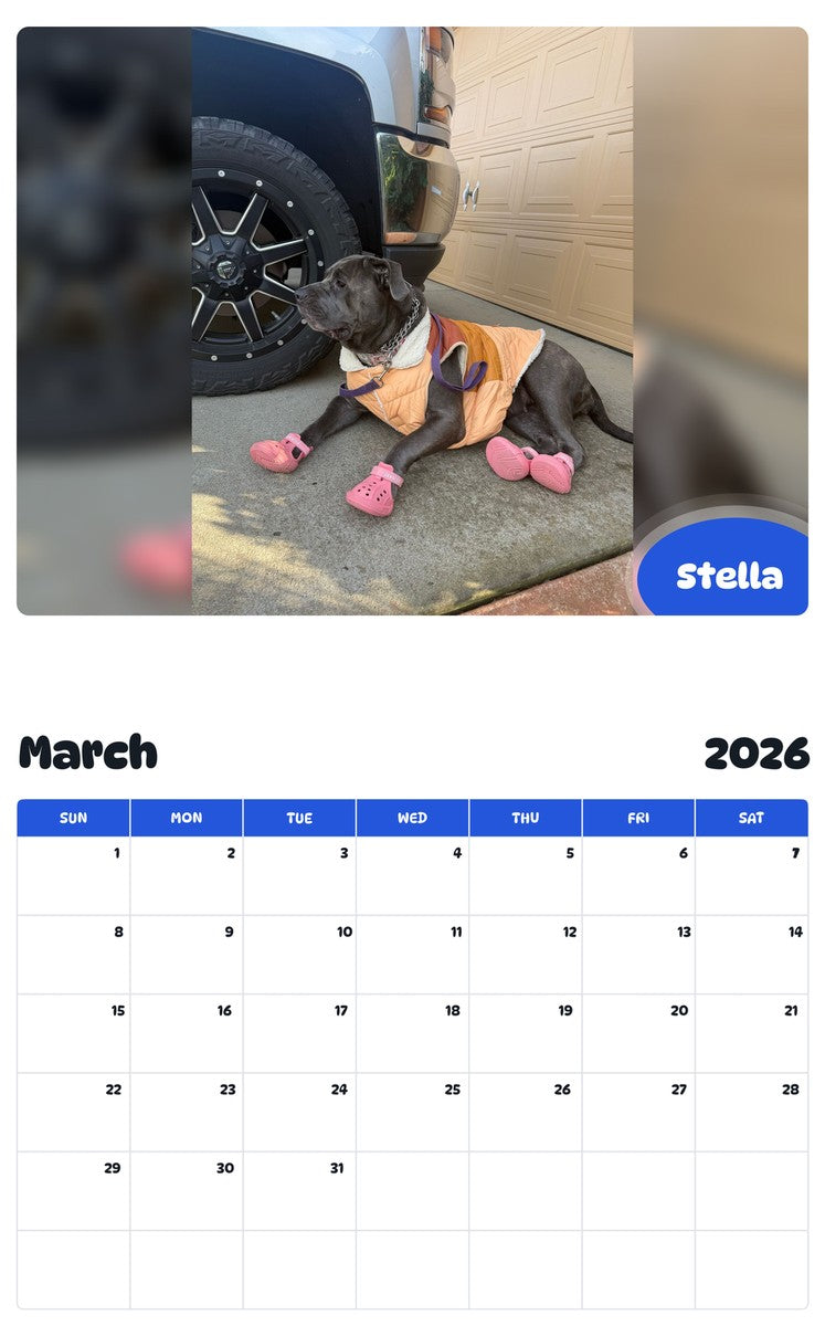 November 2025 - October 2026 Stella - Pawidols Pet Calendar