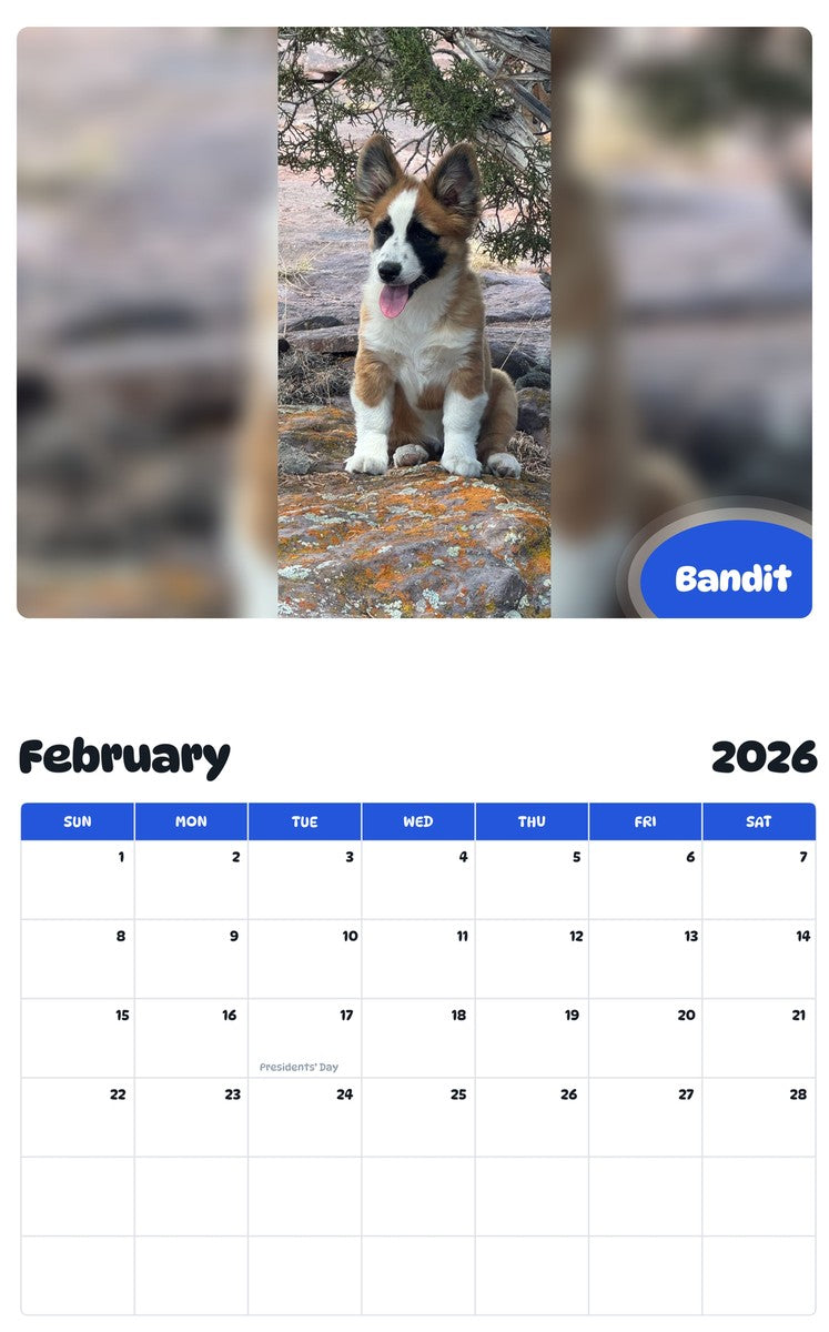November 2025 - October 2026 Bandit - Pawidols Pet Calendar