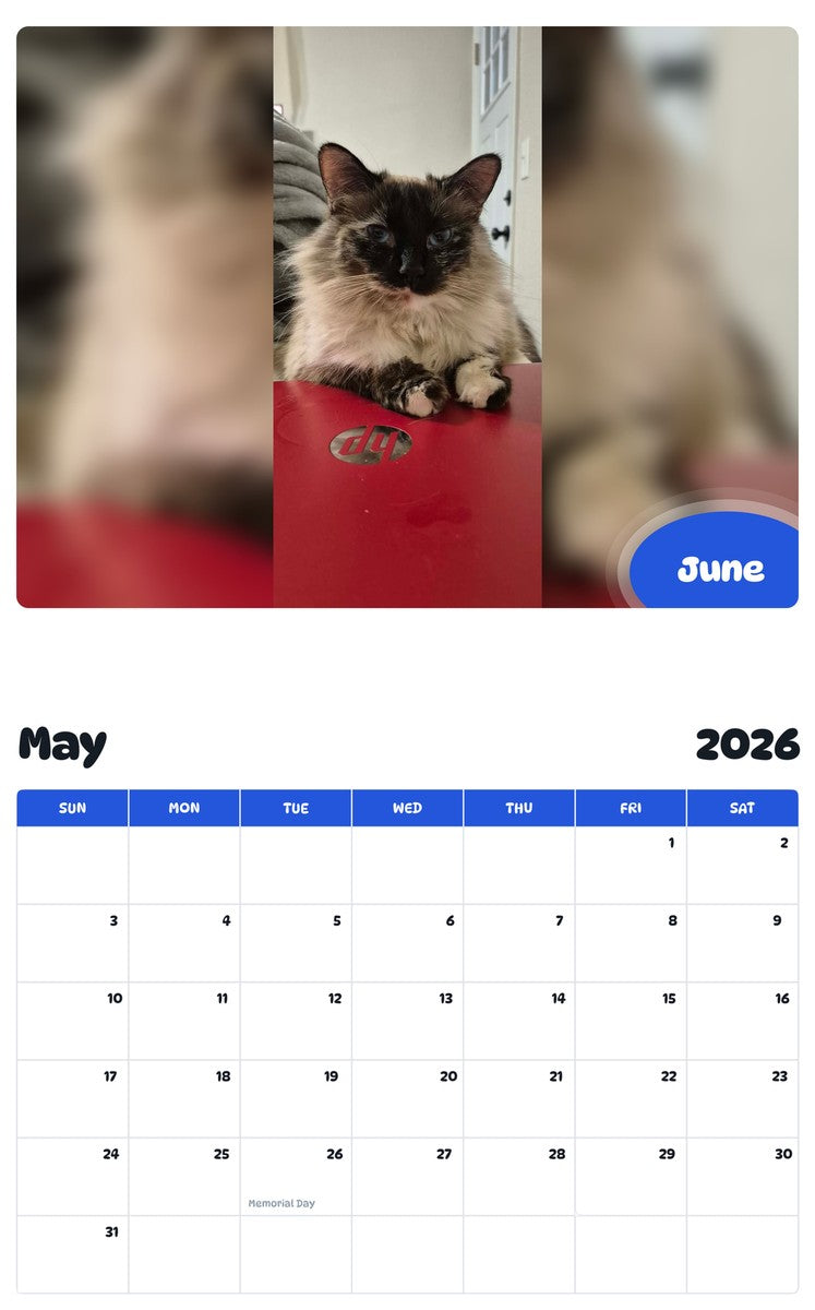 2026 - 2027 June - Pawidols Pet Calendar