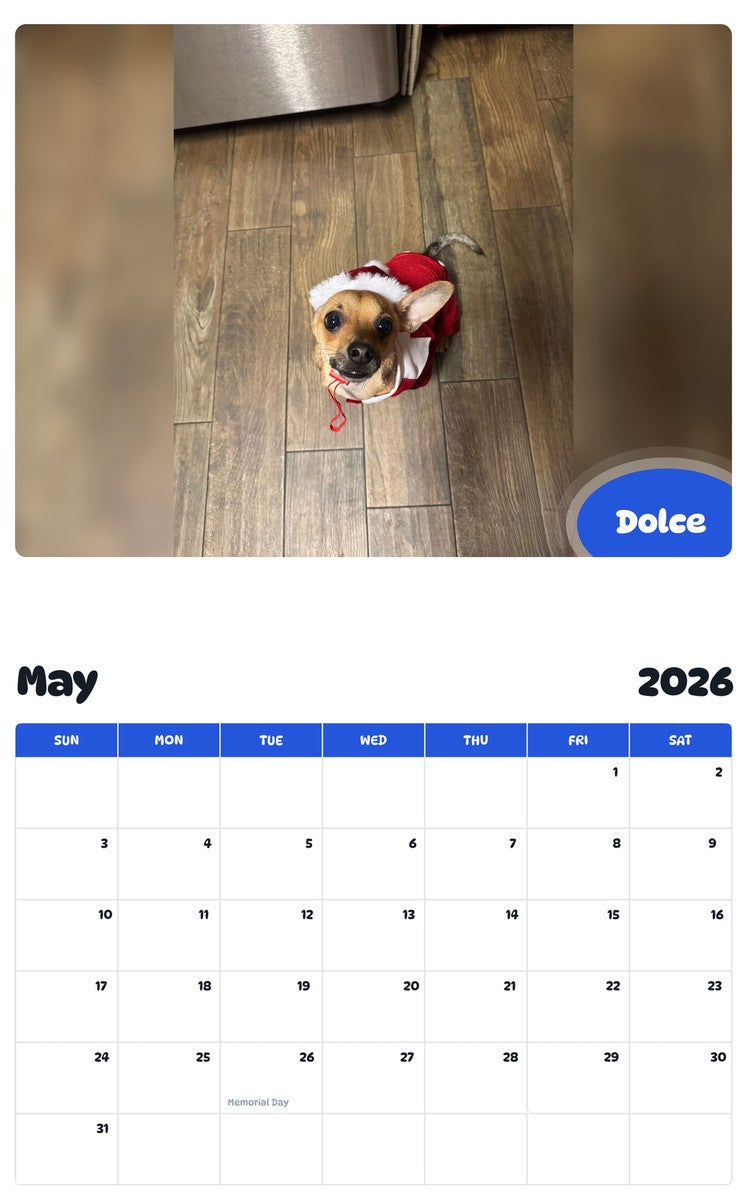 2026 - 2027 Dolce - Pawidols Pet Calendar