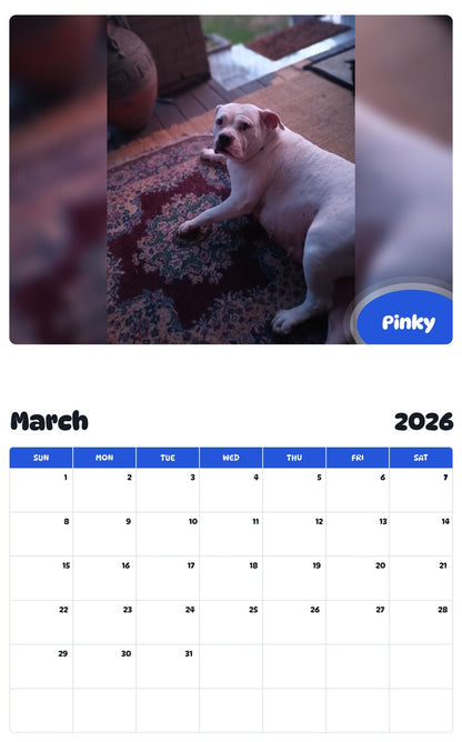 November 2025 - October 2026 Pinky - Pawidols Pet Calendar