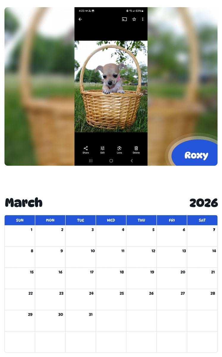 November 2025 - October 2026 Roxy - Pawidols Pet Calendar