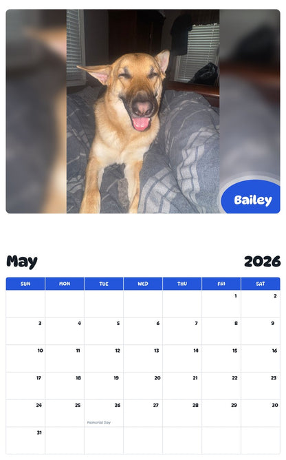 2026 - 2027 Bailey - Pawidols Pet Calendar