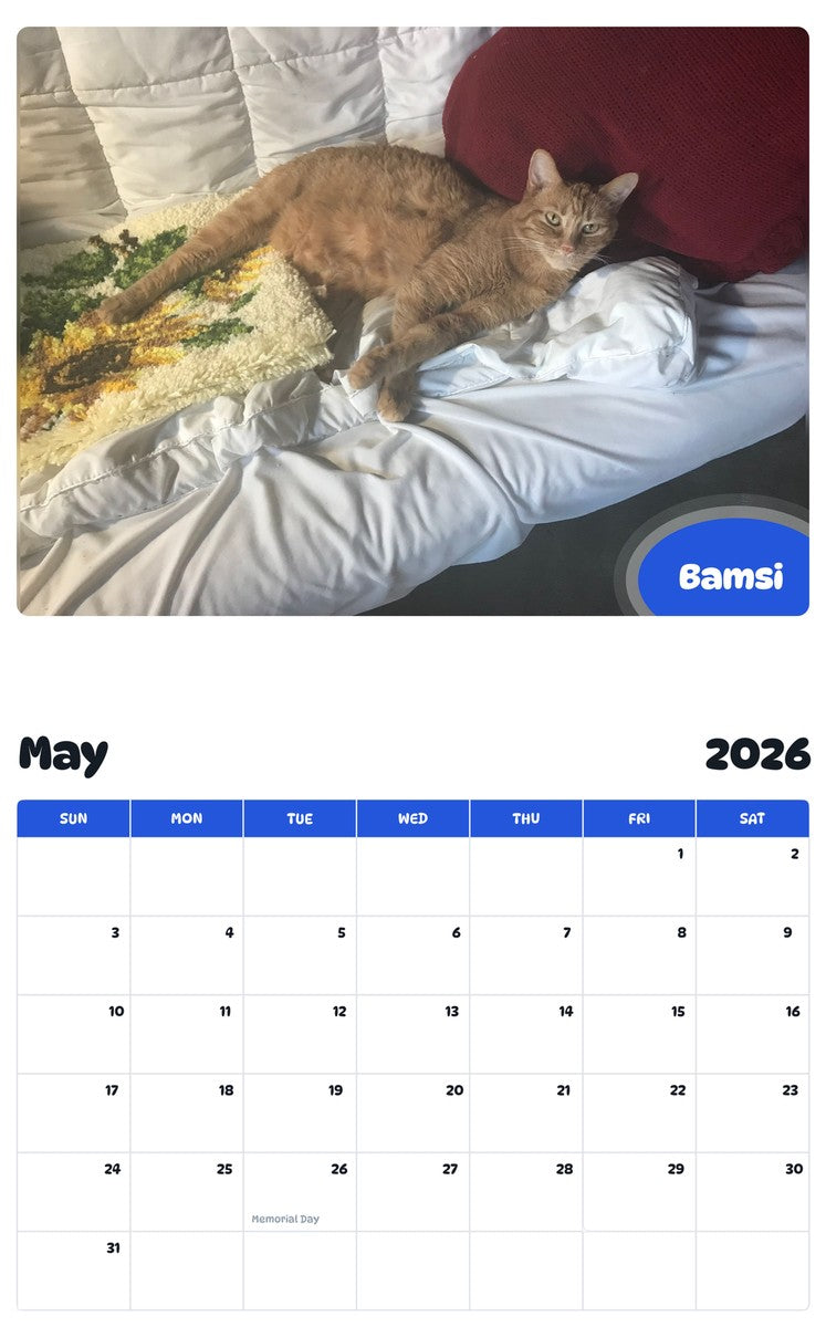 2026 - 2027 Bamsi - Pawidols Pet Calendar