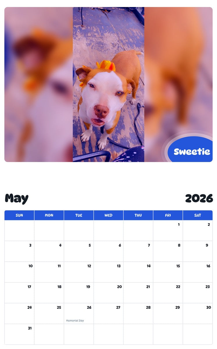 2026 - 2027 Sweetie - Pawidols Pet Calendar