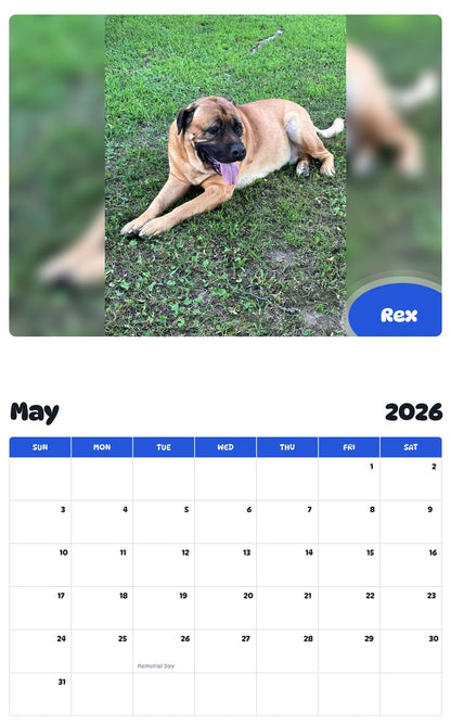 2026 - 2027 Rex - Pawidols Pet Calendar