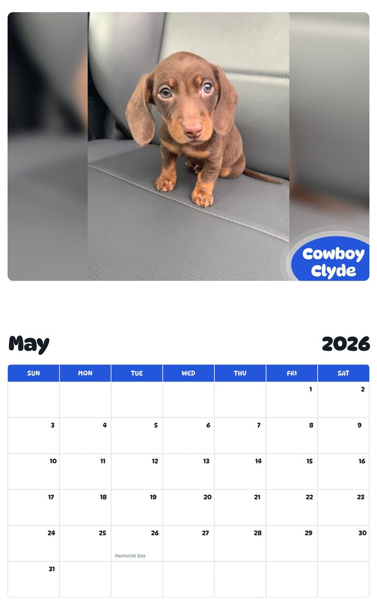 2026 - 2027 Cowboy Clyde - Pawidols Pet Calendar
