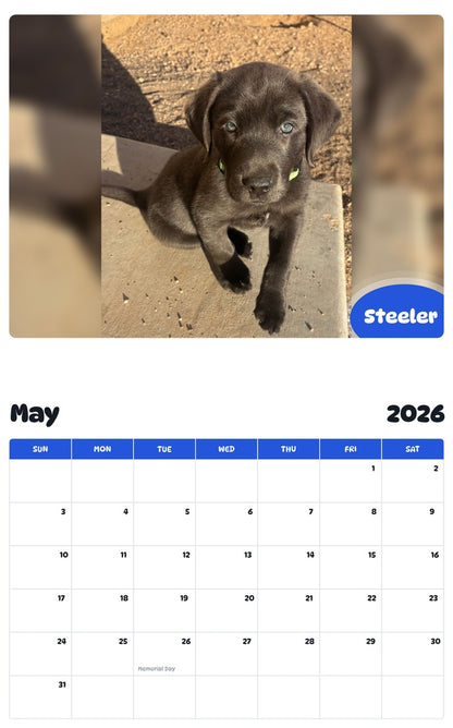 2026 - 2027 Steeler - Pawidols Pet Calendar
