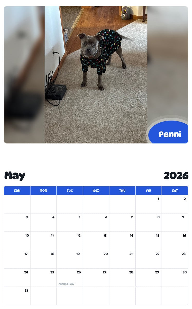 2026 - 2027 Penni - Pawidols Pet Calendar