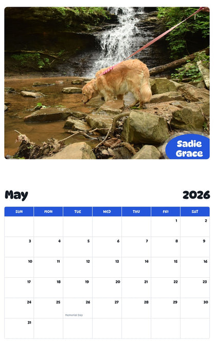 2026 - 2027 Sadie Grace - Pawidols Pet Calendar