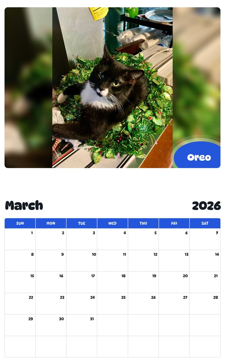 November 2025 - October 2026 Oreo - Pawidols Pet Calendar
