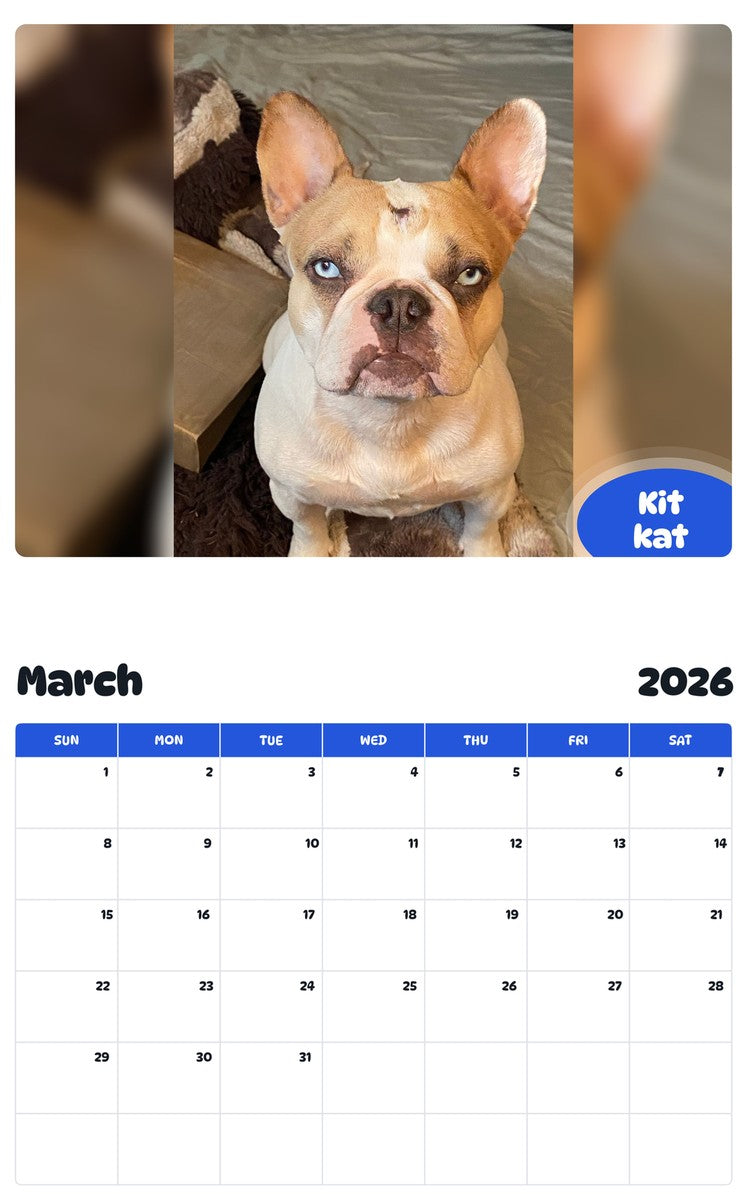 November 2025 - October 2026 Kit kat - Pawidols Pet Calendar