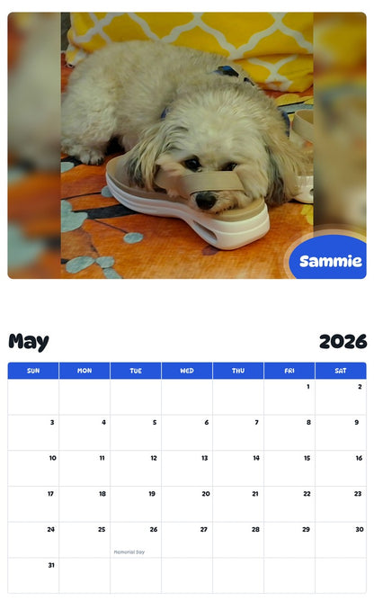 2026 - 2027 Sammie - Pawidols Pet Calendar