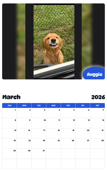 November 2025 - October 2026 Auggie - Pawidols Pet Calendar