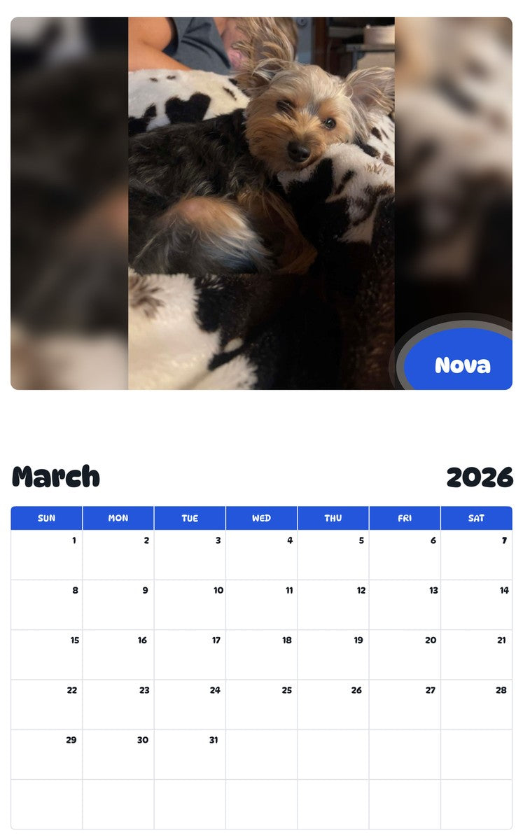 November 2025 - October 2026 Nova - Pawidols Pet Calendar