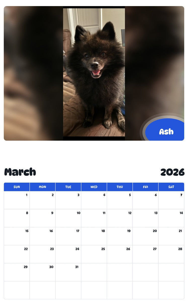 November 2025 - October 2026 Ash - Pawidols Pet Calendar