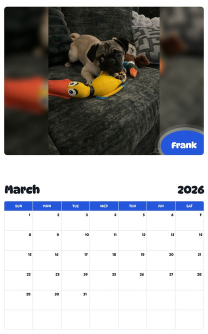 November 2025 - October 2026 Frank - Pawidols Pet Calendar