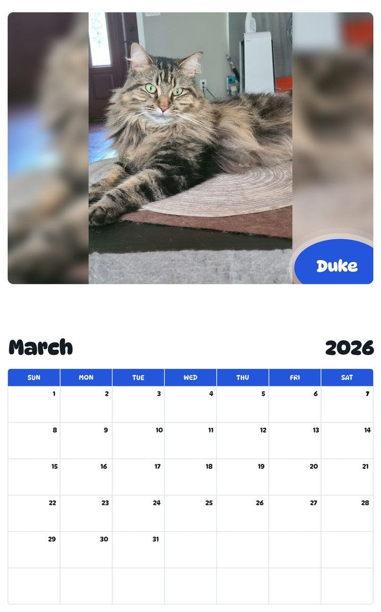 November 2025 - October 2026 Duke - Pawidols Pet Calendar