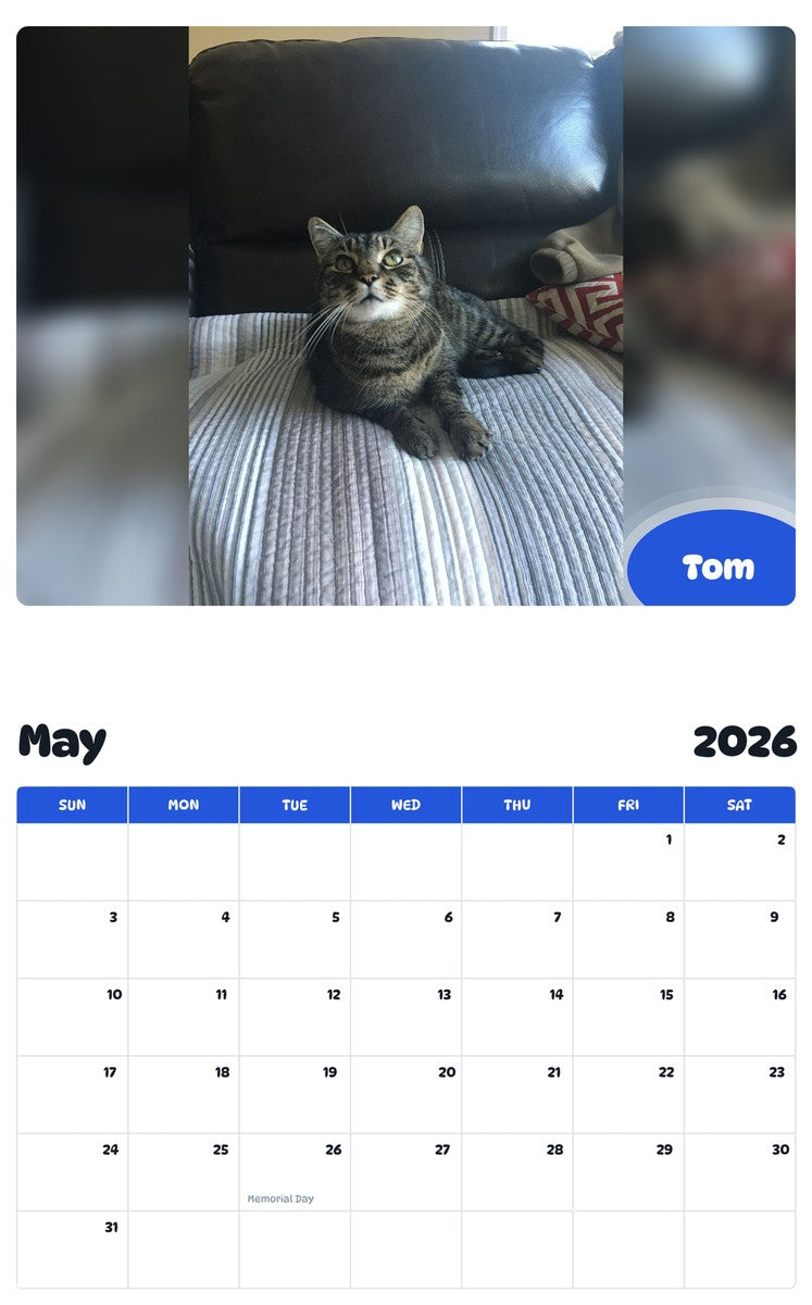 2026 - 2027 Tom - Pawidols Pet Calendar