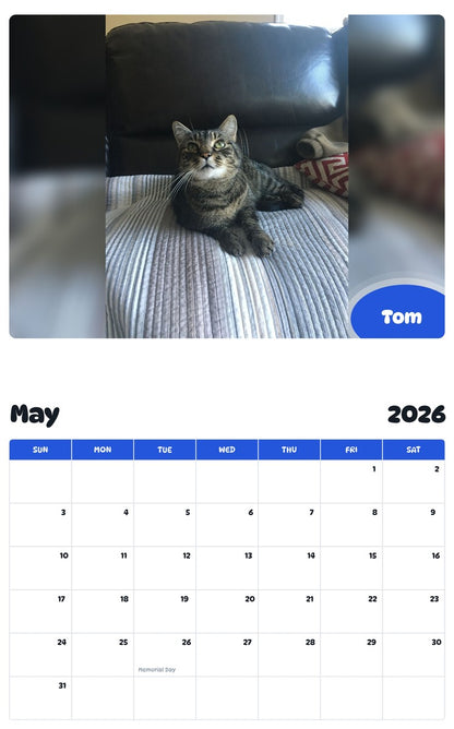2026 - 2027 Tom - Pawidols Pet Calendar