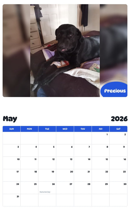 2026 - 2027 Precious - Pawidols Pet Calendar