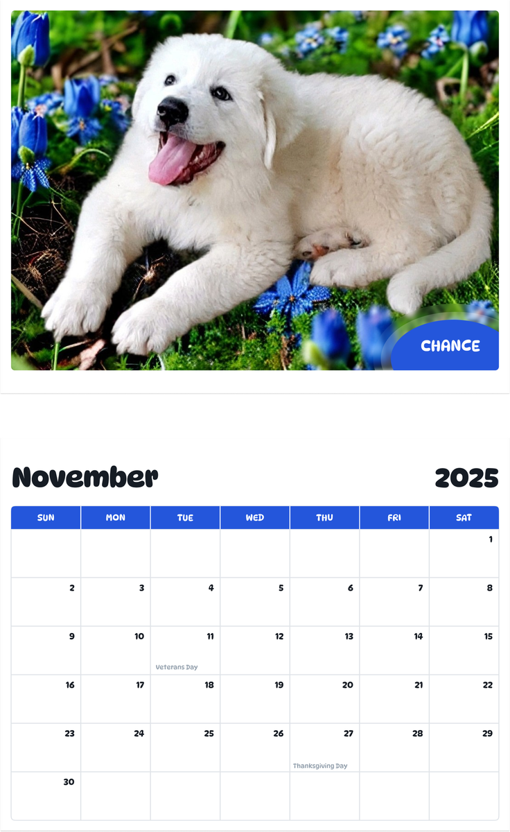 July 2025 - June 2026 Chance - Pawidols Pet Calendar