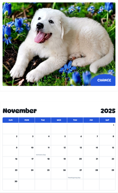 July 2025 - June 2026 Chance - Pawidols Pet Calendar