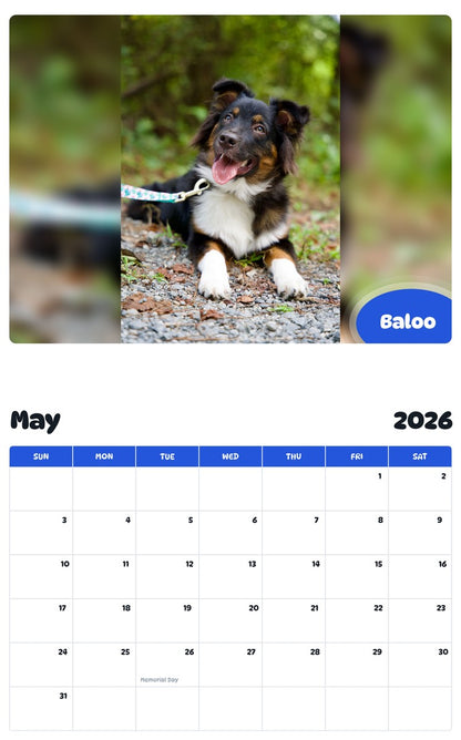 2026 - 2027 Baloo - Pawidols Pet Calendar