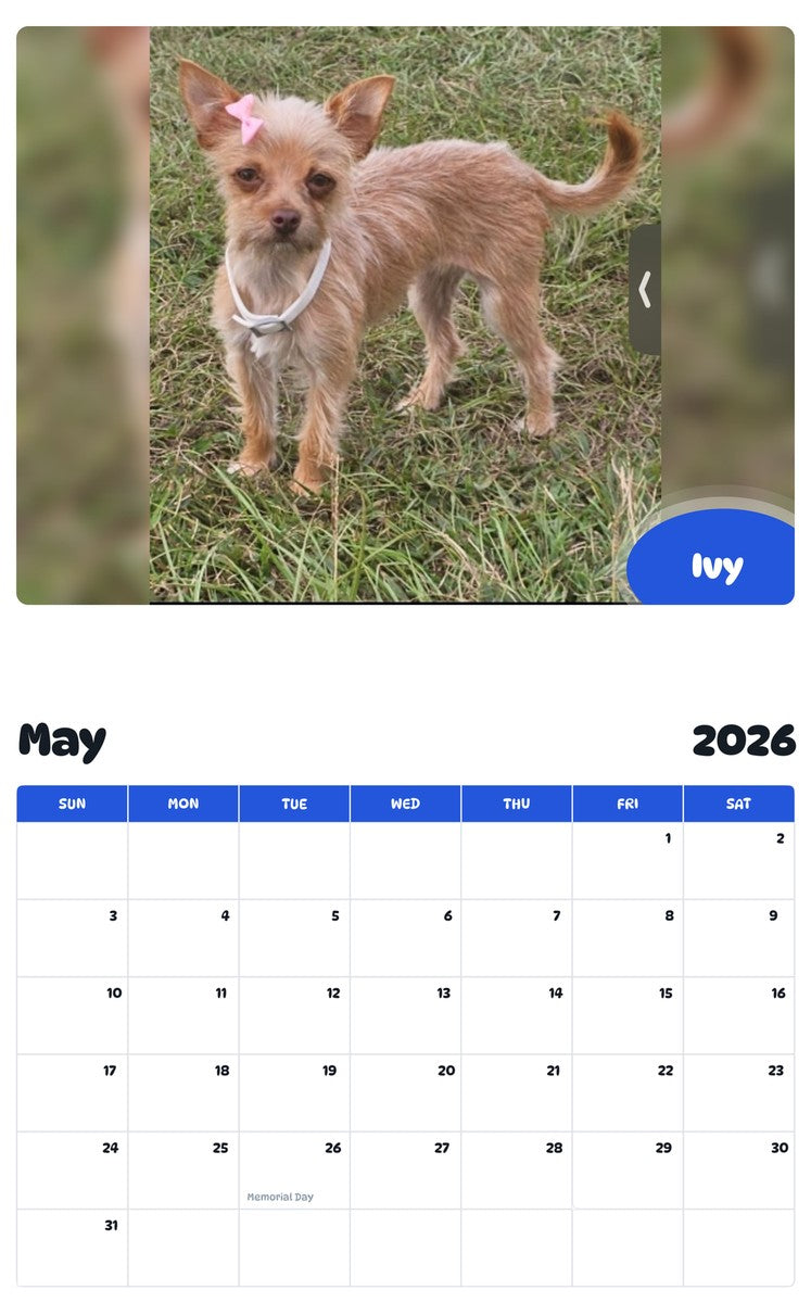 2026 - 2027 Ivy - Pawidols Pet Calendar