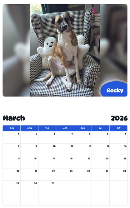 November 2025 - October 2026 Rocky - Pawidols Pet Calendar